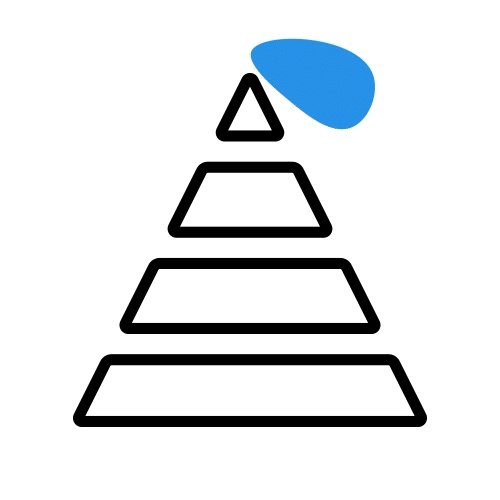 Support for various learning activity types
